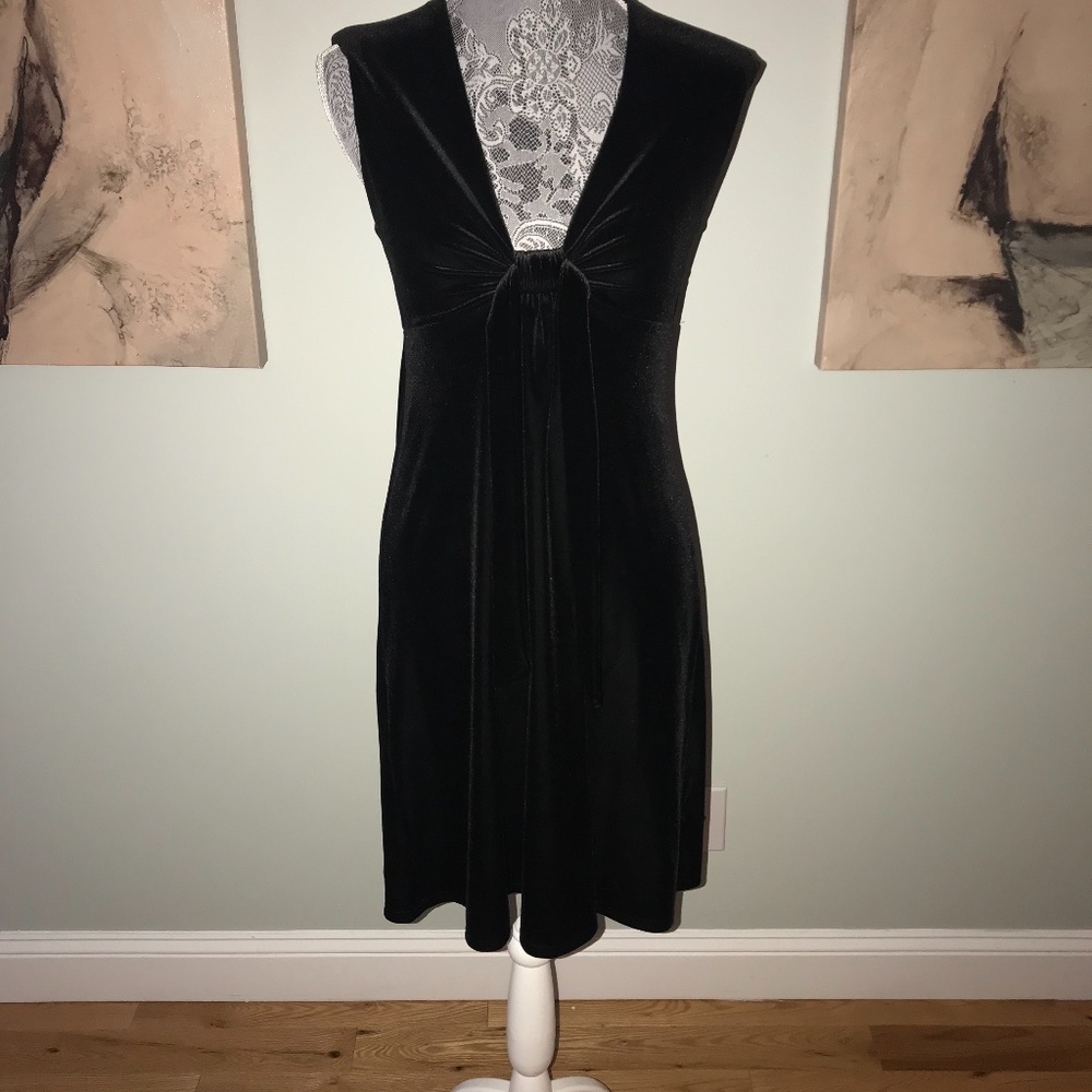 Michael Stars Velvet Dress Plunge Neck